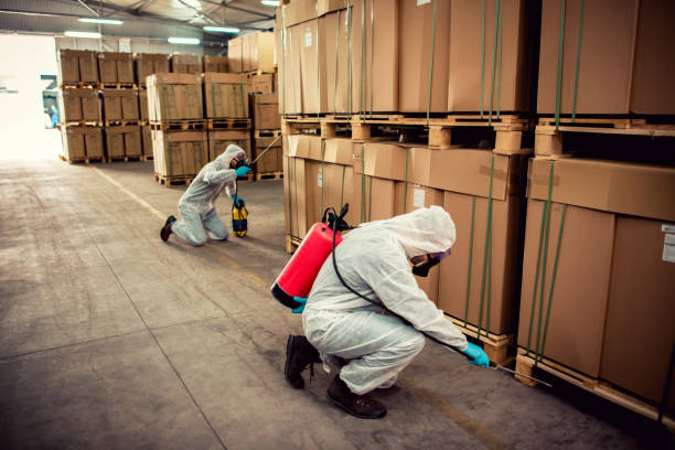 Best Ant Control Services  in Toulon, IL