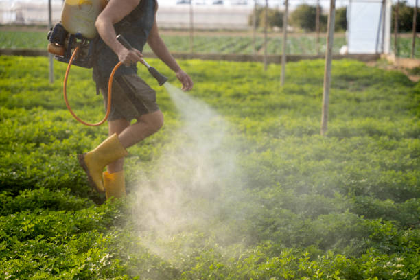 Best Pest Control for Restaurants  in Toulon, IL
