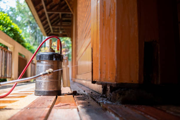 Best Pest Control Treatment  in Toulon, IL