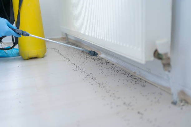 Best Pest Control Near Me in Toulon, IL