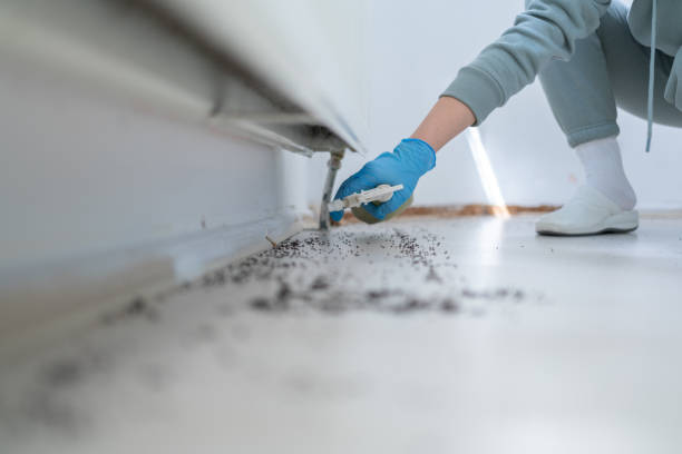 Best Local Pest Control Services  in Toulon, IL