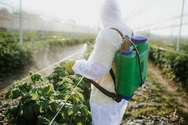 Pest Control for Restaurants in Toulon, IL